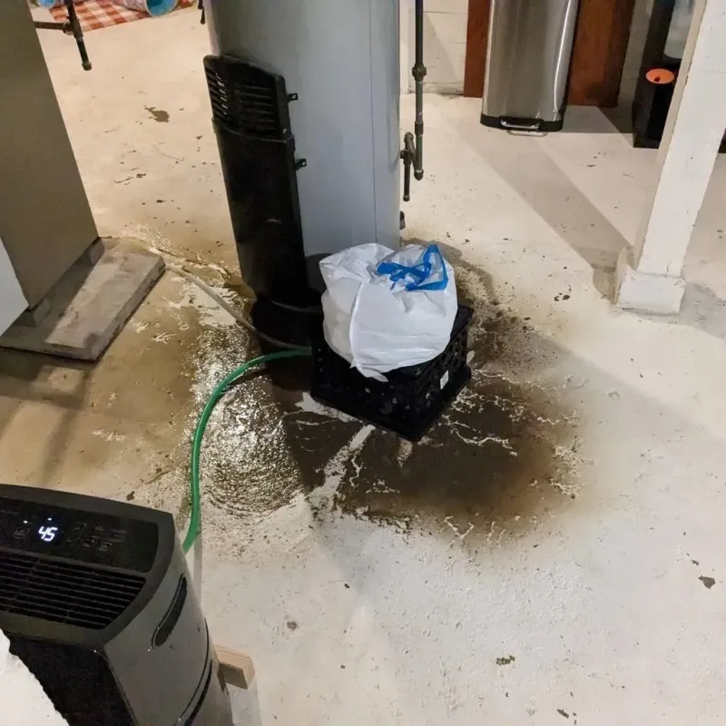 Sewage Backup Cleanup Service in Las Animas, CO